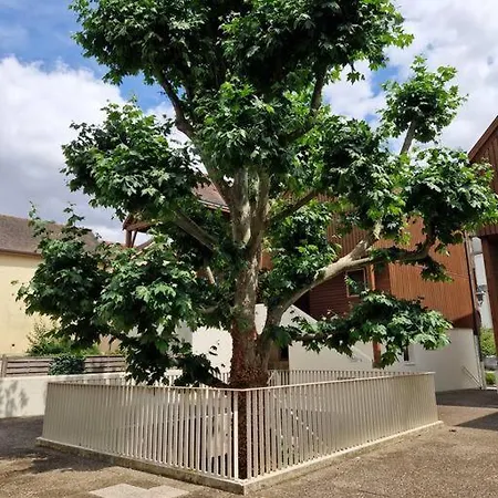 Parking Gratuit, Confort, Charme Et Tranquillite Apartment *