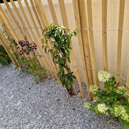 Parking Gratuit, Confort, Charme Et Tranquillite Apartment Troyes